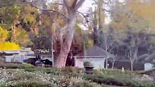 The free sfw version of my first ever pornlog