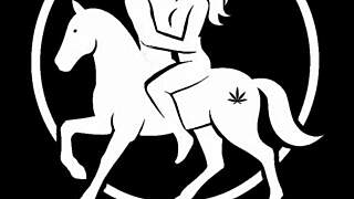 A Boyfriend With Batteries