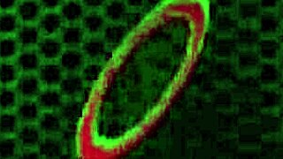 voluptuous maggie green slips off her lingerie teasingly