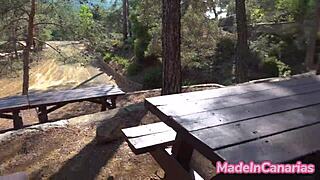 Sexo Anal En Un Picnic Público Con Una Chica De Tetas Grandes Perfectas