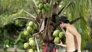 small outdoor blowjob with huge cock