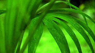 redhead milf fucks outdoors in heels