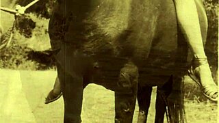 Dark lantern entertainment presents the erotic confessions of a victorian english gentleman