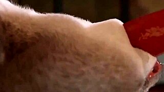 Judy Hopps feels overwhelming pleasure in deepthroat, fucking, and group sucking scenes