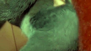 Judy Hopps feels overwhelming pleasure in deepthroat, fucking, and group sucking scenes