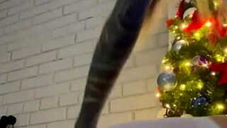 My christmas video here with dildo solo play