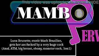 luna feels intense pleasure as huge cock fucks her ass