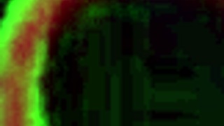 Vixen Vanity enjoys passionate sex in the bathroom with Rome Major's BBC.