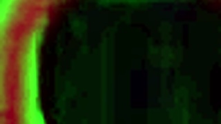 interracial booty call maggie green got dicked by rome major