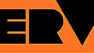 Vhxxx Part 1 Loss Prevention Officer 92.