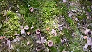 my walk turned into hard ass fucking