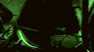 vintage erotic art collection