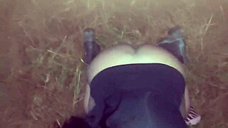 I Thought No Milk After Woods Afternoon