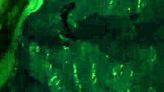 Stranded teen 18+ fucked in rough public action