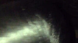 She acted as if experiencing her first time as escort