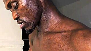 Mr Pato Reshapes Petite Vergina