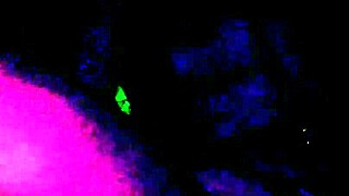 They Film My Ass With My Jeans On They Pull Them Down And I Get Big Cumshots On My Ass