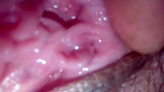 Pretty pornstar gets creampie in shaved pussy