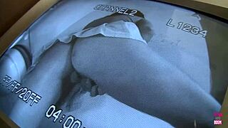 brunette sasha sweet feels horny blowing big cock