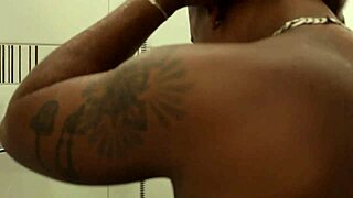 convence wife transar