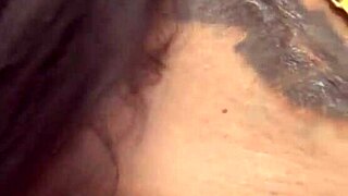 mature puma cougar explores her daily life