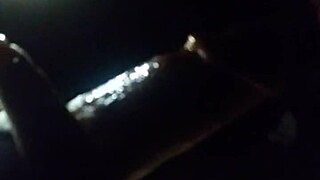 She eagerly sucked me in the bedroom, her lips working passionately.