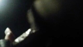 She eagerly sucked me in the bedroom, her lips working passionately.