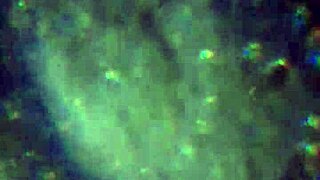 Here is more of my cum to prepare you