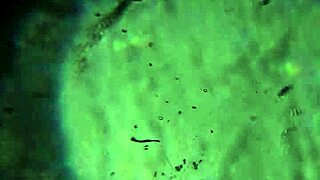 Here is more of my cum to prepare you