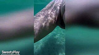 Underwater creampies fill her multiple times