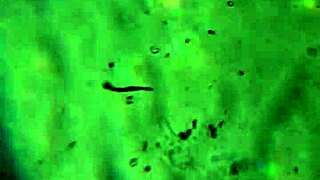 Here is more of my cum to prepare you