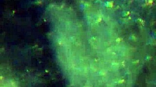 Here is more of my cum to prepare you