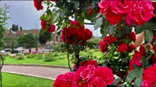 Bangladeshi wife bold hardcore pussy pounding