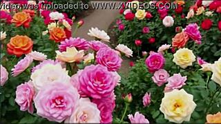 Bangladeshi wife bold hardcore pussy pounding