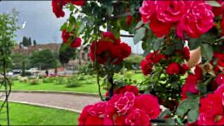 Bangladeshi wife bold hardcore pussy pounding