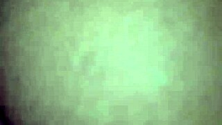 Mi morena sucks cock deep in blowjob frenzy