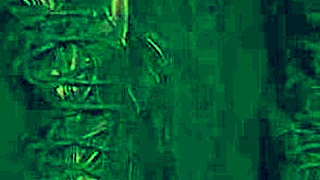 i'm your naughty pet astarioth owns me in femdom joi domination pov