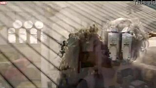 Rita Carelli Defies Gravity with Massive Tits!