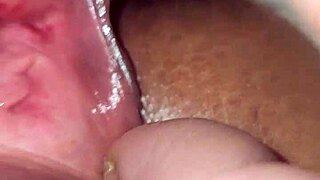 bold hairy brunette beaver stuffed with plush toys