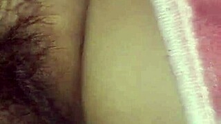 bold hairy brunette beaver stuffed with plush toys