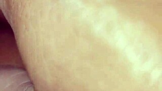 bold hairy brunette beaver stuffed with plush toys