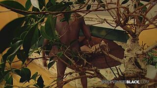 horny michelle's ass gets packed in private black interracial threesome