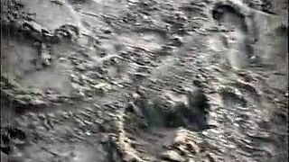 a hot stranger sucks my big cock publicly right on the beach