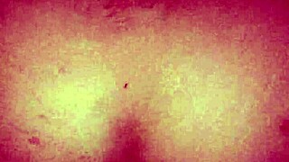 Dominican BBW couple enjoys anal doggystyle pounding