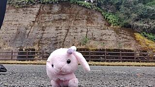 japanese crossdresser crushes soft toys in fetish frenzy.