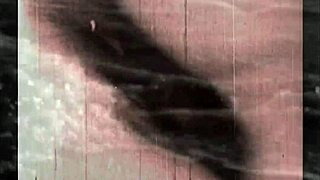 vintage retro hairy erotic scenes