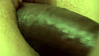 sophia lomeli's big tits bounce riding monster cock at lunch