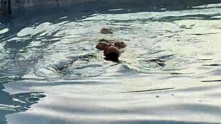 monika fox rims balls swallows cum then golden shower by pool at sunset