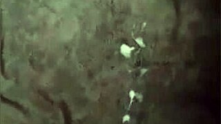 Non-stop explosive cumshot highlights from hottest scenes