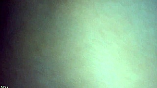 mexican hotwife laura daniela exposes big tits in mexico city